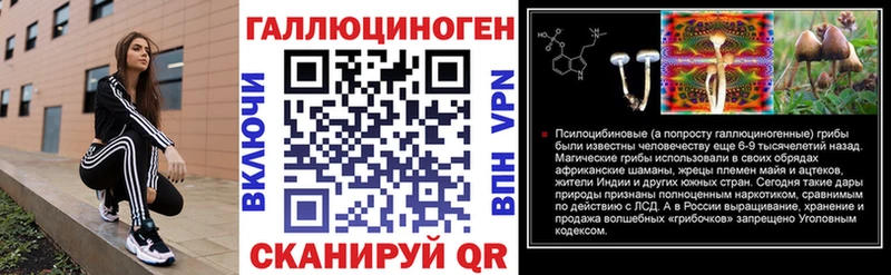 Купить закладки  Баксан  Псилоцибиновые грибы GOLDEN TEACHER 
